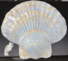 Abyss   Habidecor Stella Bath Rug Exclusive New  640