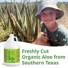 Seven Minerals Organic Aloe Vera Gel From Freshly Cut 100  Pure 128 Fl Oz