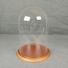 Glass Dome Cloche Display Case With Wood Base 12 x8 