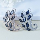Peacock Phoenix Bird Austrian Rhinestone Crystal Brooch Pin Silver rg  B2593