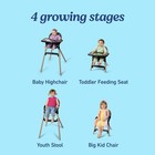 Graco Ready2dine Dlx 4-in-1 Highchair  Linden