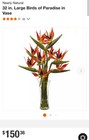 Nearly Natural 32 In  Large Birds Of Paradise In Vase