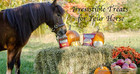 Mrs  Pastures Horse Cookies   Treats - Premium All Natural Treats 5 Pound Bag