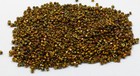Vintage Antique Czech Glass Seed Beads Bright Metallic Gold Iris Ab 9 0 3-cuts
