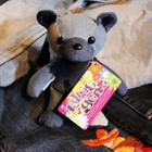 Grateful Dead Bean Bear Blue Gene Plush Toy Doll 7in Japan