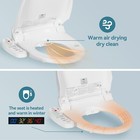 Elongated Smart Toilet Seat Electric Bidet Auto Deodorization Heated Nightlight