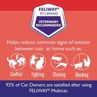 Feliway Multicat Calming Pheromone Cat Calming Diffuser  30 Day Refill 3 6 Pack