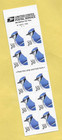Stamp Booklet Pane   Us  Blue Jay  20 Cent Stamps   10 Stamps On Booklet Pane 