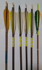 Mixed Lot Of 9 Vintage Arrows Archery