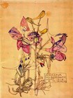 Larkspur Charles Rennie Mackintosh 1910 Vintage Poster Print Home Decor
