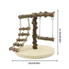 Bird Play Stand Cockatiel Playground Parrot Wood Perch Gym Toy Swing With Ladder