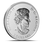 2021 3 4 Oz Canadian Silver Great Horned Owl Reverse Proof Coin