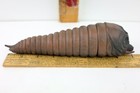 Japan Bandai Mothra Larva Godzilla Kaiju Movie Monster Action Figure 8 2  Toho