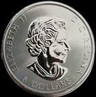 2018 Canada 1 25oz Silver Eagle   Eaglets  8  9999 Rcm Bu   very Rare For Year  