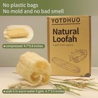4 Natural Loofah Sponge  Real Egyptian Bath   Shower Exfoliating Body Scrubber