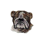 English Bulldog Head  3-pack  Iron On Patch
