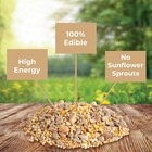 Wild Bird  no Mess Or Waste Free  Food Seed Blend For Blue Jays  Woodpeckers  Ju