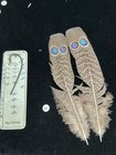 Grey Peacock Pheasant  Double  Eye Tail Feathers   61