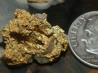 Gold Quartz Specimen 4 04 Grams California Pocket Gold