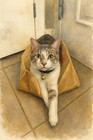 Commissioned Pet Portrait From Your Photo Custom Painting
