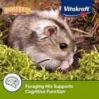 Vitakraft Vita Prima Dwarf Hamster Food 2 Lb Bag With Fruits Vegetables