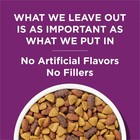 Complete Dry Dog Food For Adult Dogs High Protein Lamb 44 Lb Bag