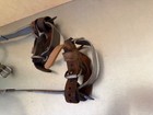 Vintage Buckingham Linesman Pole Tree Climbing Gaffs Spikes     21