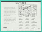 Full Sheet Of Unused Stamps Of 2008 Kelp Forest Nature Of America 10 Stamps