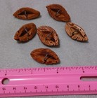 Six Vintage Hand Carved Peach Pit Stones Button Lot-folkart-novelty-unique 