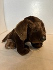 Ganz Webkinz Chocolate Lab Hm138 With Sealed Code Brown Puppy Dog