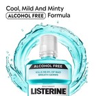 Listerine Cool Mint Alcohol-free Mouthwash  2 Pack  1 L  Kills Germs