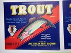 Wholesale Lot Of 3 Fishing Vintage Original Fruit Crate Labels Signs Trout Life
