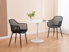 Dining Chairs Set Of 4  Modern Plastic Armrest Side Chair