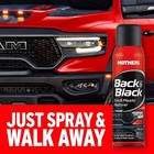  2 Pack  Mothers 06110 Back To Black Trim   Plastic Restorer Aerosol  10 Oz