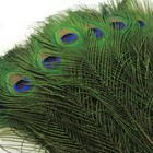 Tharaht 24pcs Peacock Feathers Long Natural In Bulk 32-35 Inch 80-90 Cm For V   