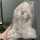Melissa   Doug Burrow Bunny Rabbit Stuffed Animal Toy 9 Inches Plush Nwt