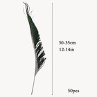 50pcs Natural Peacock Sword Feathers 12-14 Inch For Hat Diy Crafts Arts Wedding 