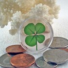 Genuine Four Leaf Clover Good Luck Charm Floating In A Pocket Token Ch-4l