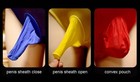 5d Oil Glossy Shiny Five-toe Pantyhose High-stretch Ultra-thin Tights Stockings