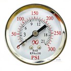 300 Psi Pressure Gauge Back Mount 1 4  Npt 2  Face Air  Water  Oil  Gas