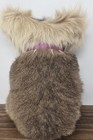 Vintage Koala Bear Plush W  Real Kangaroo Fur Australian Animal 9    Collectible