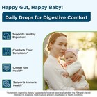 Organic Baby Probiotic Drops  0 25 Fl Oz  - Digestive   Immune Support For In   