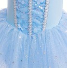 New Princess Cinderella Tutu Romper Leotard Dress Girls Halloween Costume