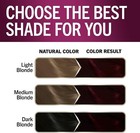 Schwarzkopf Keratin Color Ruby Noir Permanent Hair Dye Gray Coverage 1 Box