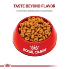 Digestive Care Dry Cat Food For Adult Cats  6 Lb - Feline Nutrition   Health