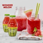 Organic Watermelon Juice With Lemon   Cayenne  8 45oz  6 Pack  100  Juice  Co   