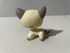 Lps  1116 Littlest Petshop Original Authentic Rare European Cat Hasbro