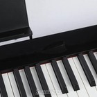 Casio Privia Px-s3100 88-key Digital Piano - Black