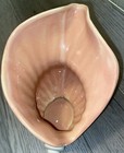 Vintage Catalina Pottery California Made In Usa Conch Nautilus Shell Vase