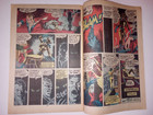 The Cat  1  1972  Vg   1st Appearance Of Greer Grant Nelson   Bronze Age Marvel